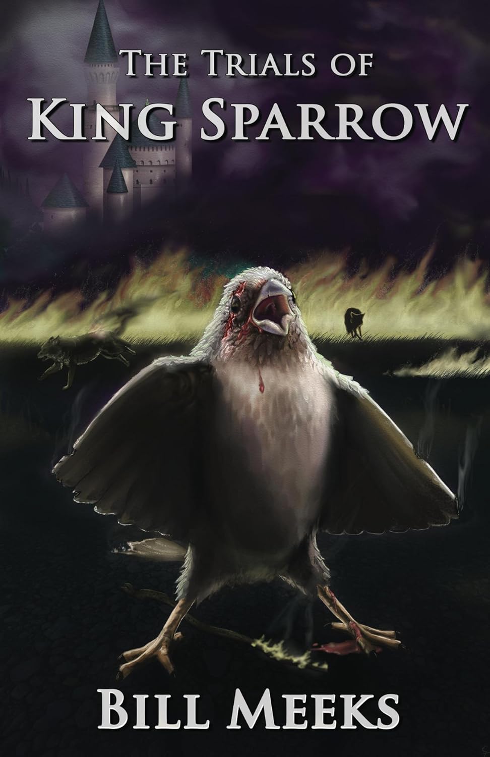 Read King Sparrow